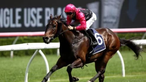 Jason Collett Aims for Success at Festival Stakes Meeting