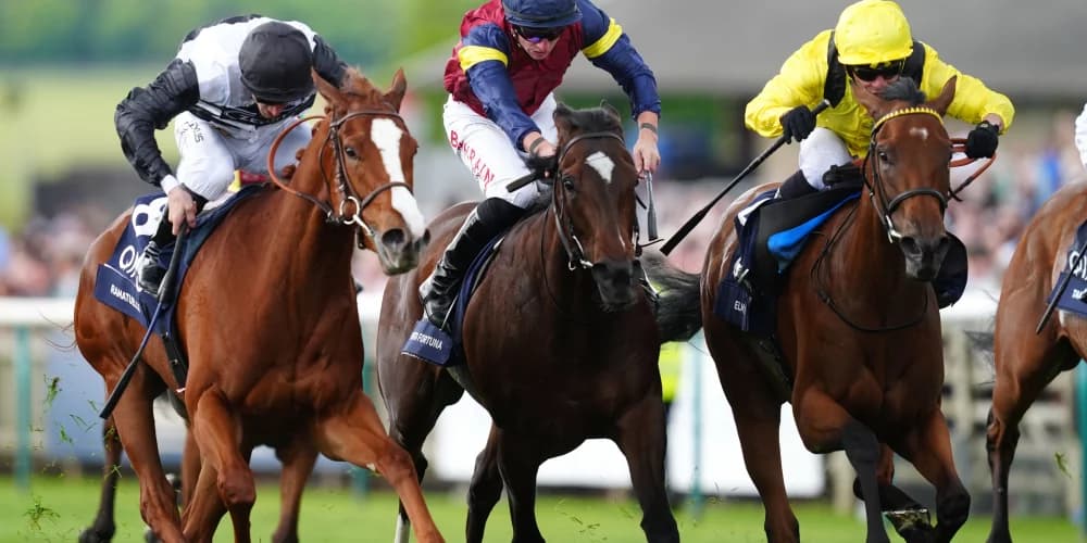 Ramatuelle Set for Foret Challenge