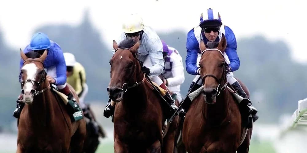 ‘Beautiful’ Nayef is still the apple of Marcus Tregoning’s eye