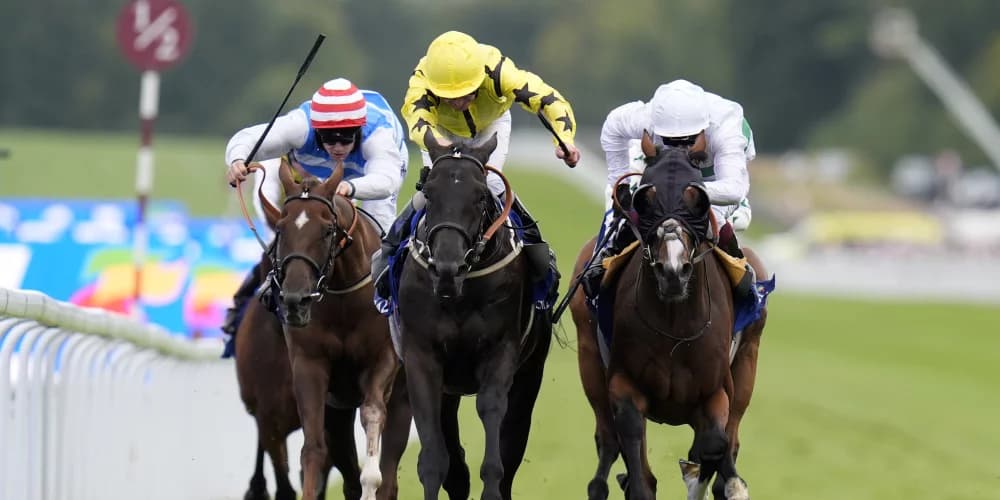 Johnston looking to Align spot in Leger line-up