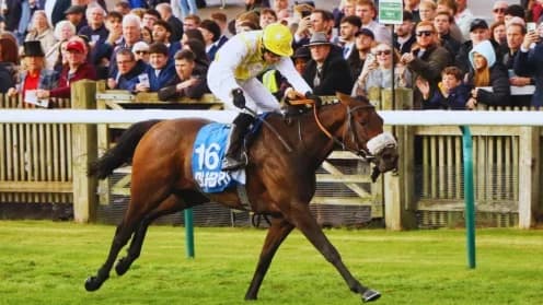 Disqualification Controversy: Alphonse Le Grande's Cesarewitch Win Reinstated