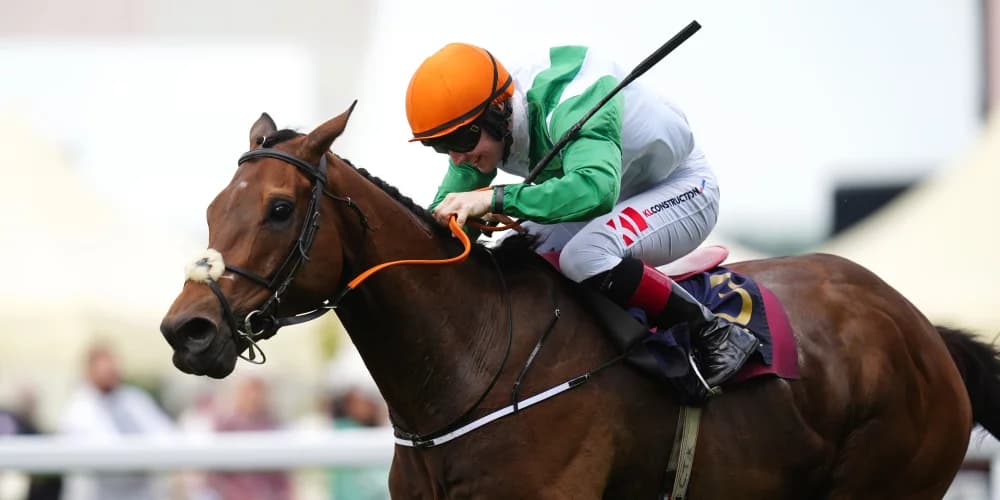 Crystal Black out to extend winning run at Leopardstown