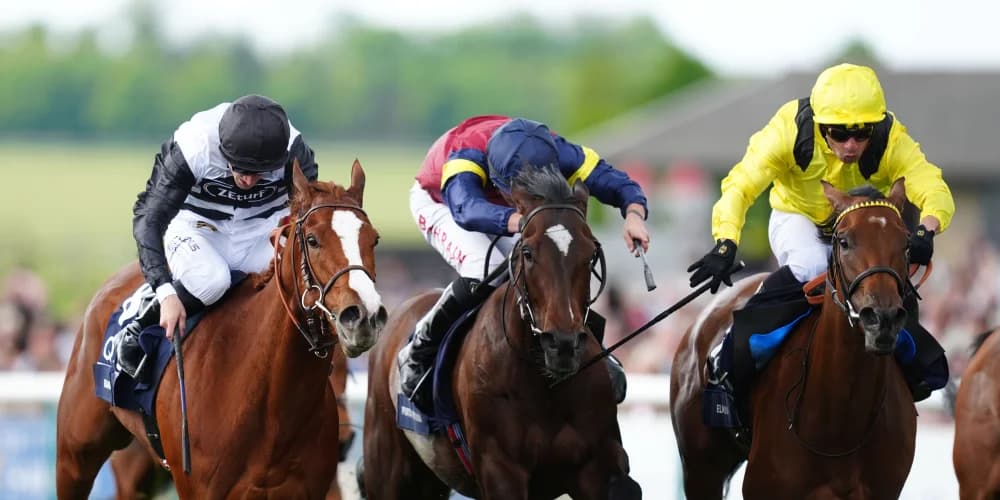 Elmalka tops 10 in Coronation clash