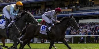 Simmering proves far too smart for Deauville rivals