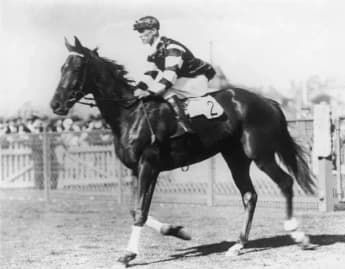 Phar Lap: Australia’s Legendary Racehorse