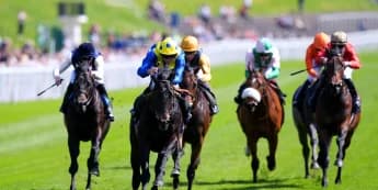 Never So Brave on course for Royal Ascot run