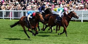 Kikkuli primed for Hungerford action at Newbury
