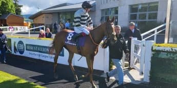 McCreery may be double-handed in search for second Matron win