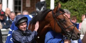 York thrilled at prospect of City Of Troy clash with Japanese ace