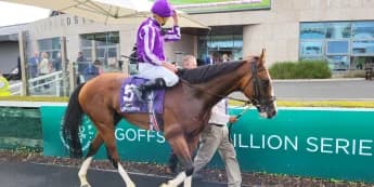 Diego Velazquez roars back to form in Meld Stakes