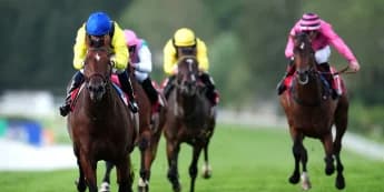 Almaqam in frame for York outing