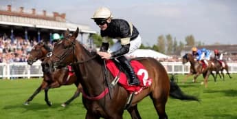 Alfa Kellenic: Craig Lidster's "One in a Million" Filly Eyes Group Glory After Ayr Silver Cup Triumph