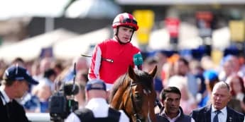 Bay City Roller rocks in Champagne Stakes