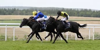 Hott Shott and Spell Master cannot be split at Goodwood