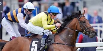 Summer Mile could be a target for Queen Anne absentee Quddwah