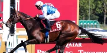 Wertheimers Dream of Arc Triumph with Sosie and Aventure