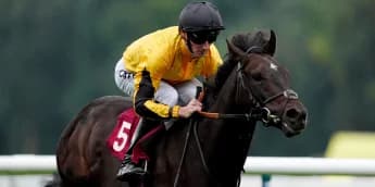 Luther never too much for Fellowes at Haydock