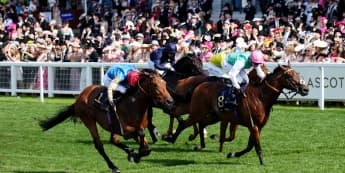 'Nothing serious' setback for Haatem, but the season is still over