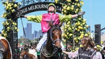 Robbie Dolan Shocks with 90/1 Win at Melbourne Cup
