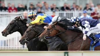 MRC Plans Major Changes for 2025 Caulfield Spring Carnival