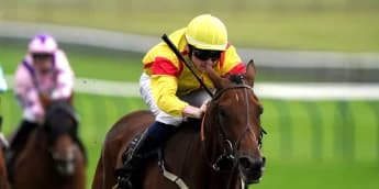 Divina Grace provides Guest with welcome boost at Newmarket