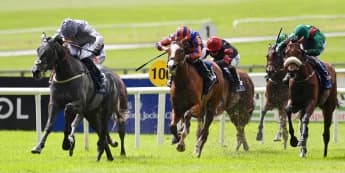 Fallen Angel on target for Matron return at Leopardstown
