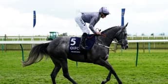 Fallen Angel absent from Coronation Stakes