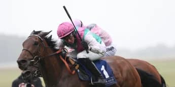 Beckett biding his time on Bluestocking King George decision