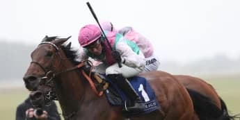 Yorkshire Oaks under the microscope for Bluestocking
