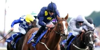 Swingalong's Future in the Balance: One More Season or Retirement to Stud?