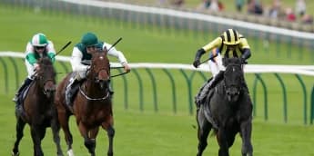 Vandeek retired to stand at Cheveley Park in 2025