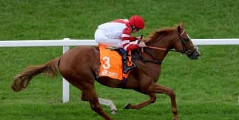 King’s Gambit ‘all set’ for the Knavesmire, with Callum Shepherd booked