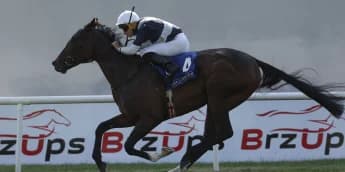 Dreamy continues perfect start to her career