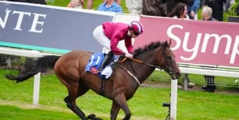Extensio heading back over hurdles after York success