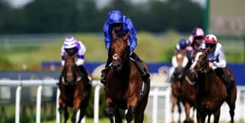 Wild Tiger Poised to Chase Bahrain Riches This Winter