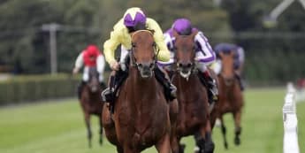 Oxx still proud to be on Irish Champion Stakes roll of honour