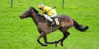 Galtres gold in Sea’s sights at York