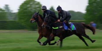 Asfoora expected to strip fitter for King Charles III clash