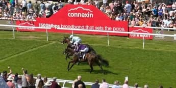 Lazy Griff given Group One aim