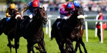 Aesterius gets the better of Big Mojo in tight Flying Childers finish