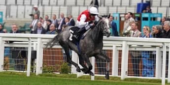 Cox eager for Inisherin rematch with Jasour