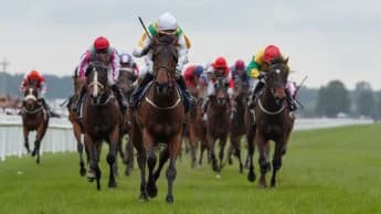 Queen Of The Pride Aims for Group One Glory in Yorkshire Oaks