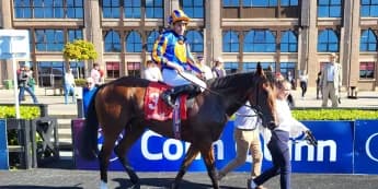 Ryan Moore records first victory at Punchestown