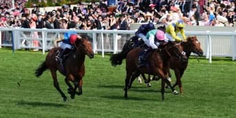 Haatem Team Confident Deauville Setback Is Minor