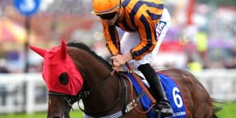 Teal planning Eclipse challenge with Dancing Gemini