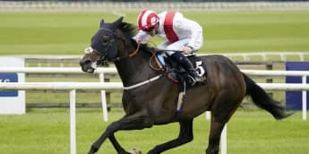 Tate tempted by Blandford target for Royal Dress