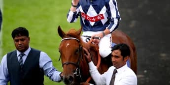 Lake Forest lined up for Haydock or Doncaster redemption