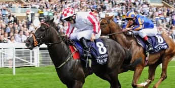 Lynam looks back fondly on ‘great days’ with Nunthorpe hero Sole Power