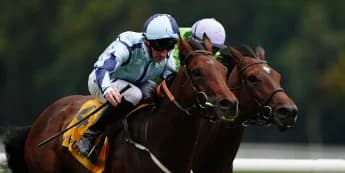 Epic Poet wins the Old Borough Cup with perfect poise.