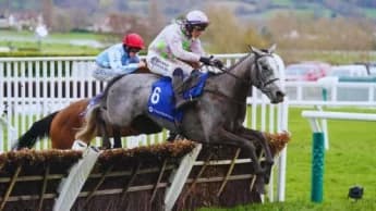 Mullins Unveils Star Power at Punchestown's Morgiana Hurdle